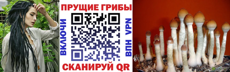Галлюциногенные грибы мухоморы  даркнет сайт  Искитим 