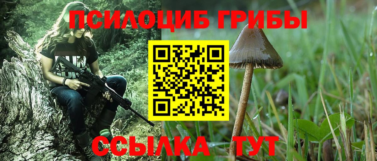 Искитим  Галлюциногенные грибы Cubensis  Вход с VPN 